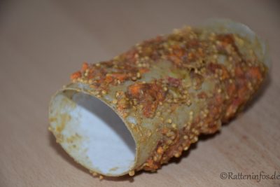 Karotten-Knabberröhre